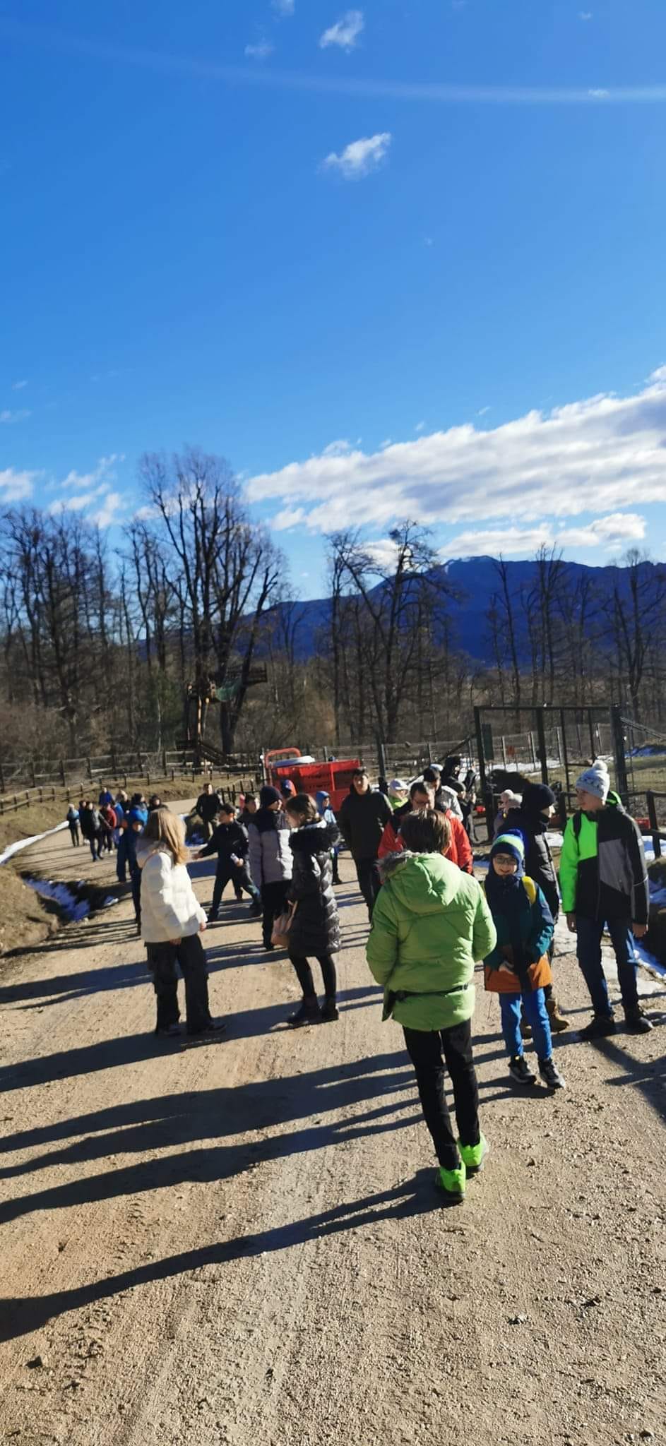 Jocuri de echipă și dezvoltare a camaraderiei